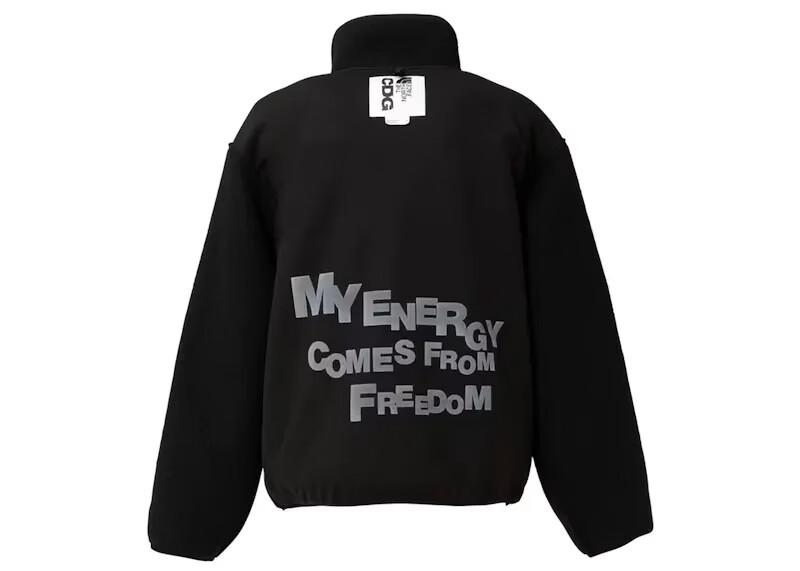 felpa con cappuccio north dome cdg x the north face